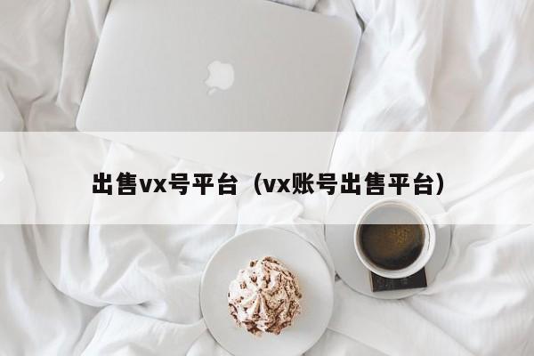 出售vx号平台（vx账号出售平台）